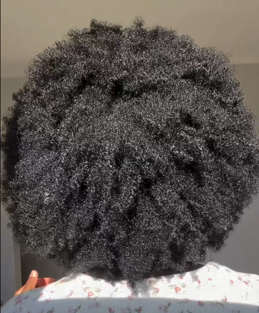 Close up of moisturised natural hair twists